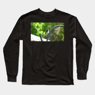 Black-capped Chickadee Staring Long Sleeve T-Shirt